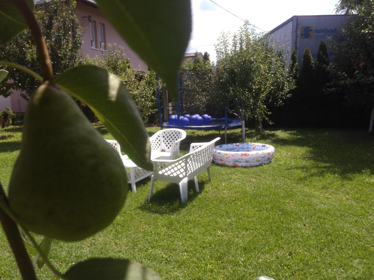 Elite Apartment Jasmina Bihać Dış mekan fotoğraf